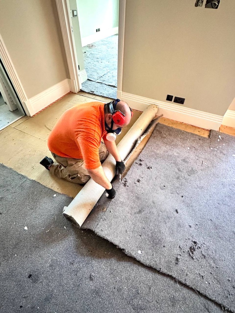 moth-pest-control-london