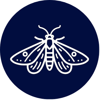 Proton moth control icon