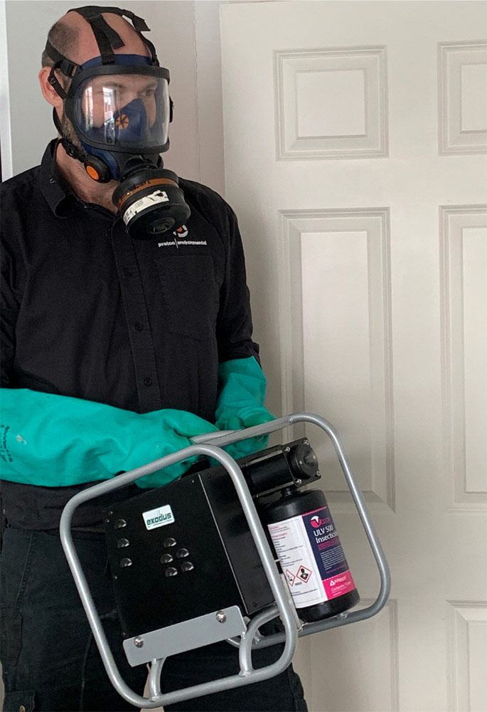 professional-moth-pest-control-in-greenwich