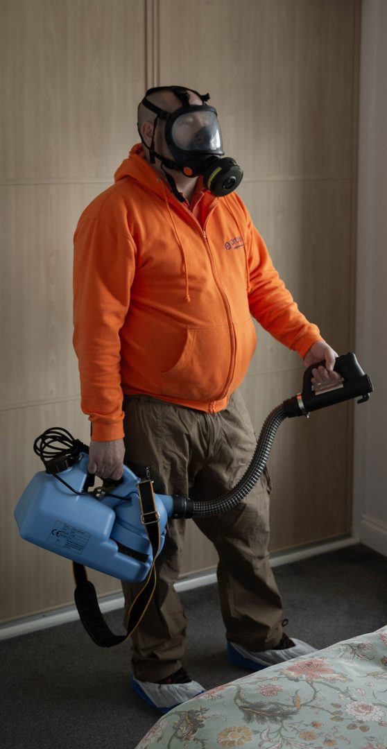 highly-effective-pest-control-in-london