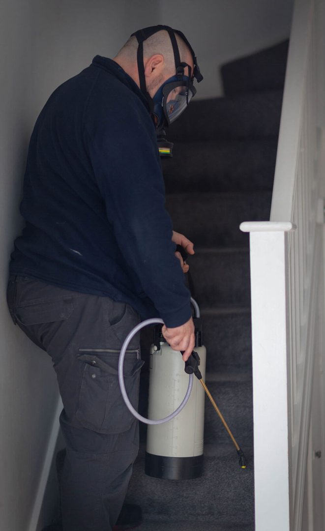 pest-control-services-in-london