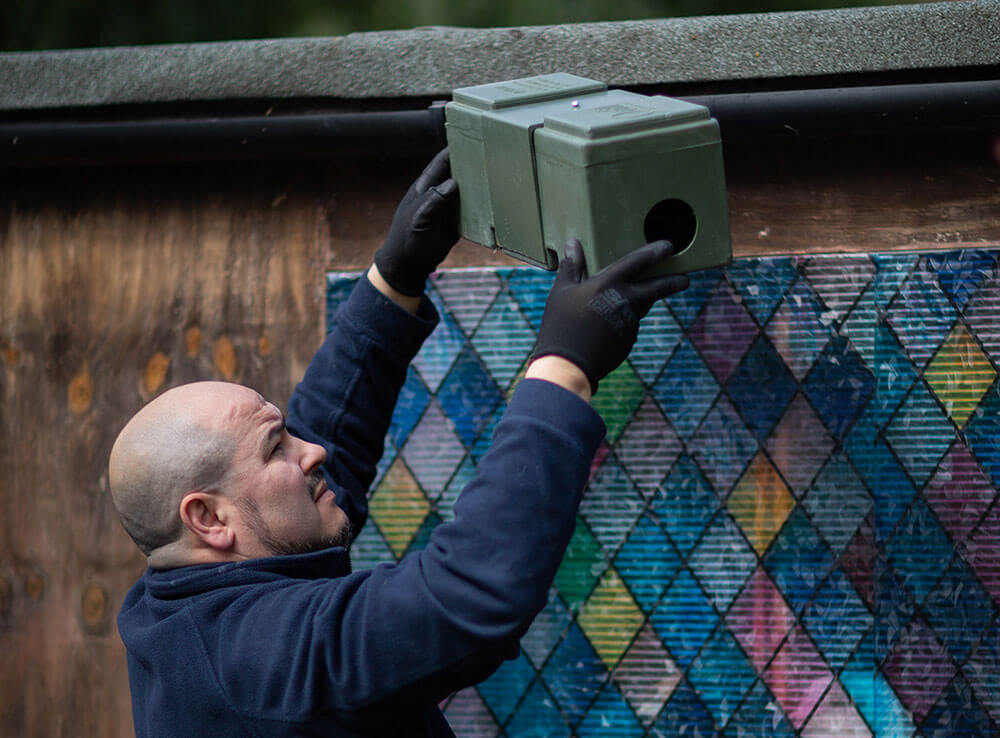 rodent-proofing-in-london